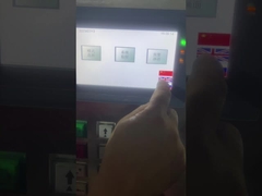 LDX-028(A) पूर्ण स्वचालित सीएनसी दोहरी पीस सिर साइड कोण गियर पीस मशीन