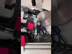 LDX-020A परिपत्र देखा ब्लेड पीसने की मशीन