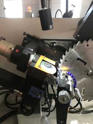 LDX-020A स्वचालित लकड़ी के काम के लिए देखा ब्लेड सामने और पीछे कोण पीसने की मशीन